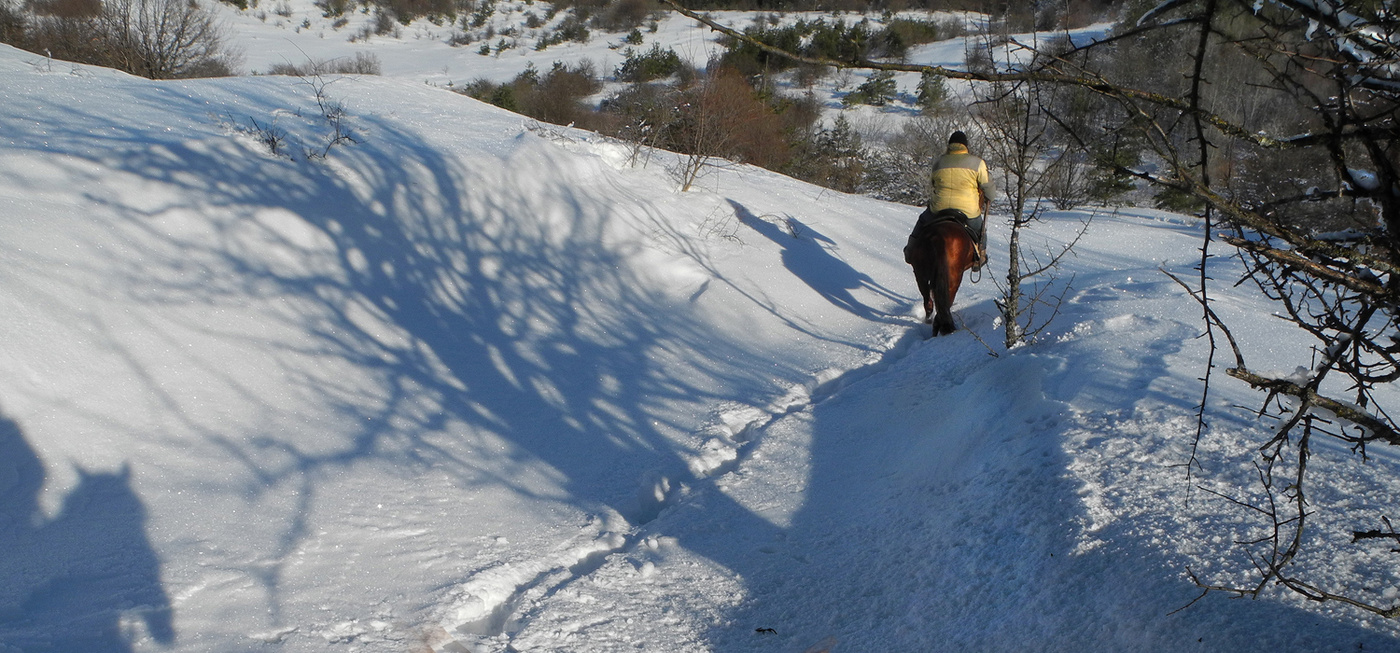 Зимний дозор.
