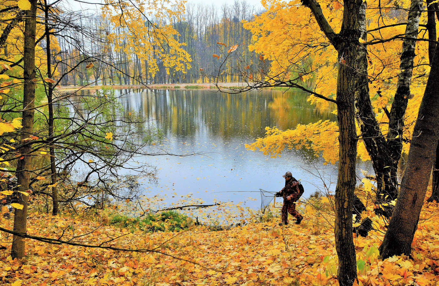 "Октябрь уж наступил ..."