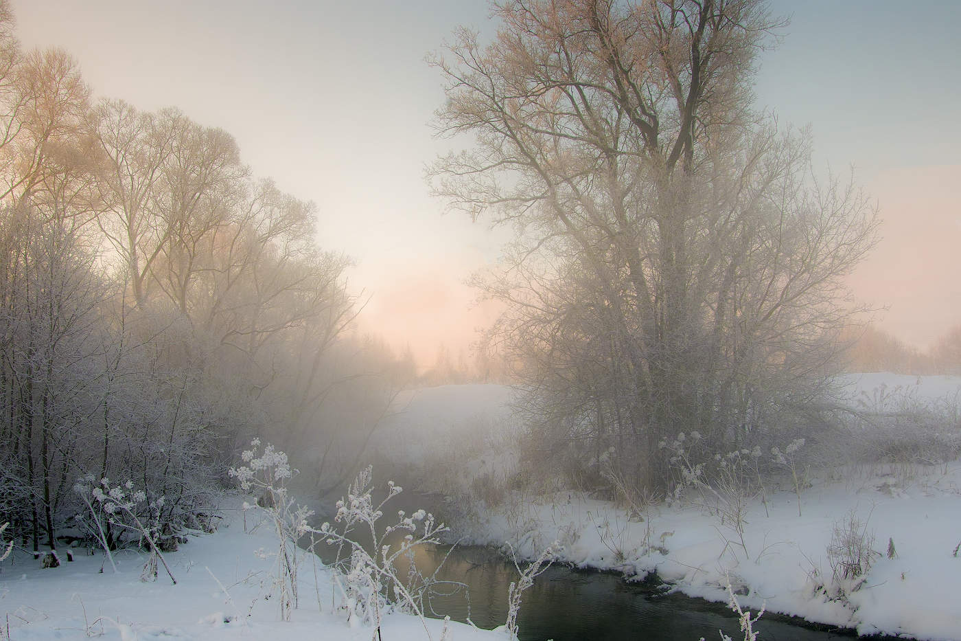 Розовое утро