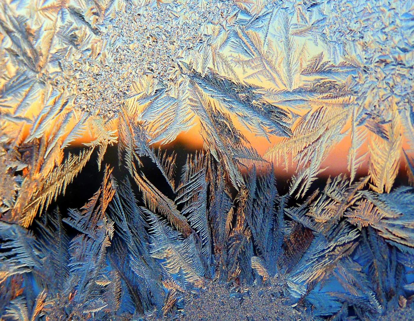 Морозное утро