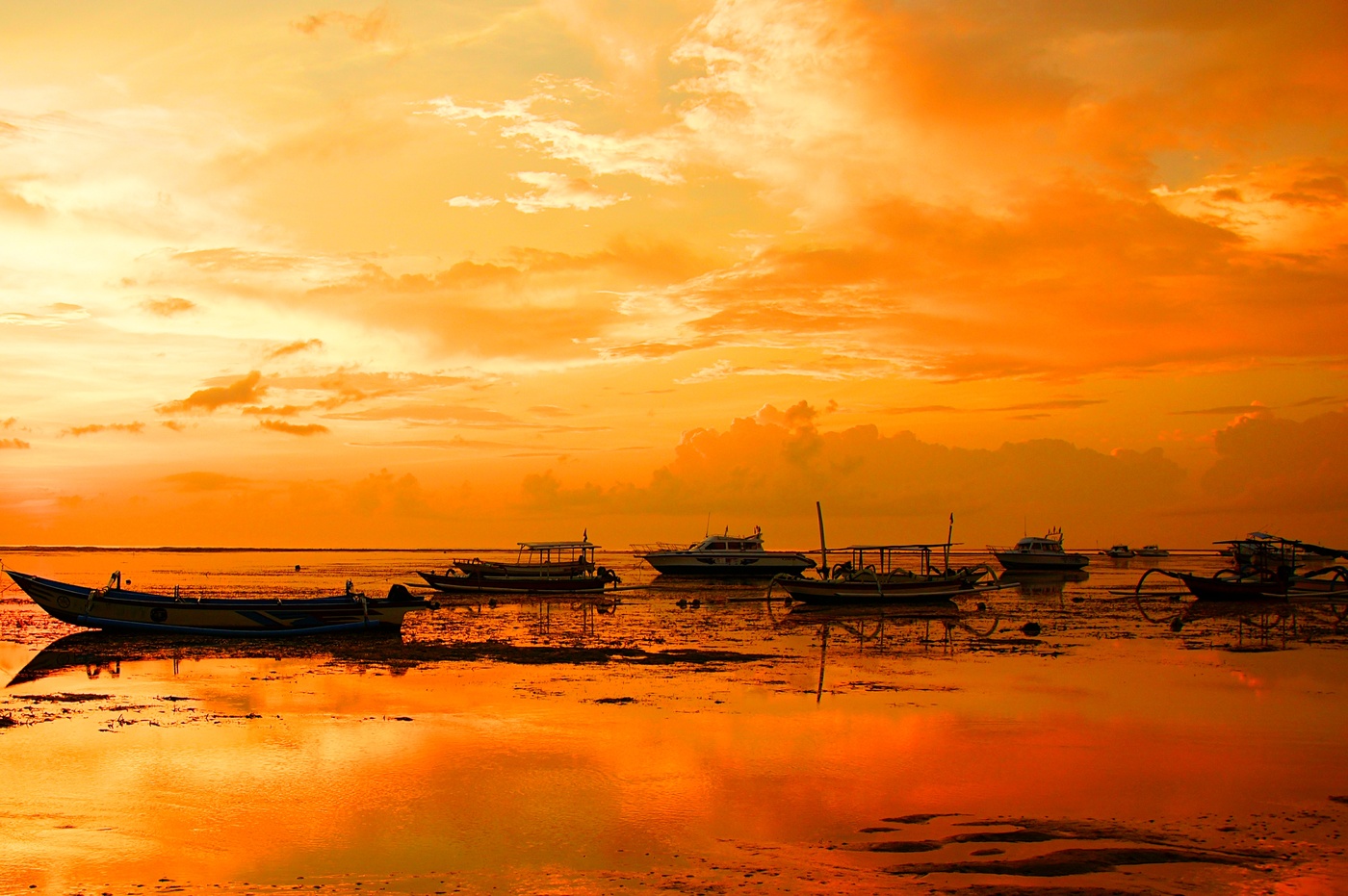 Тревожное утро...