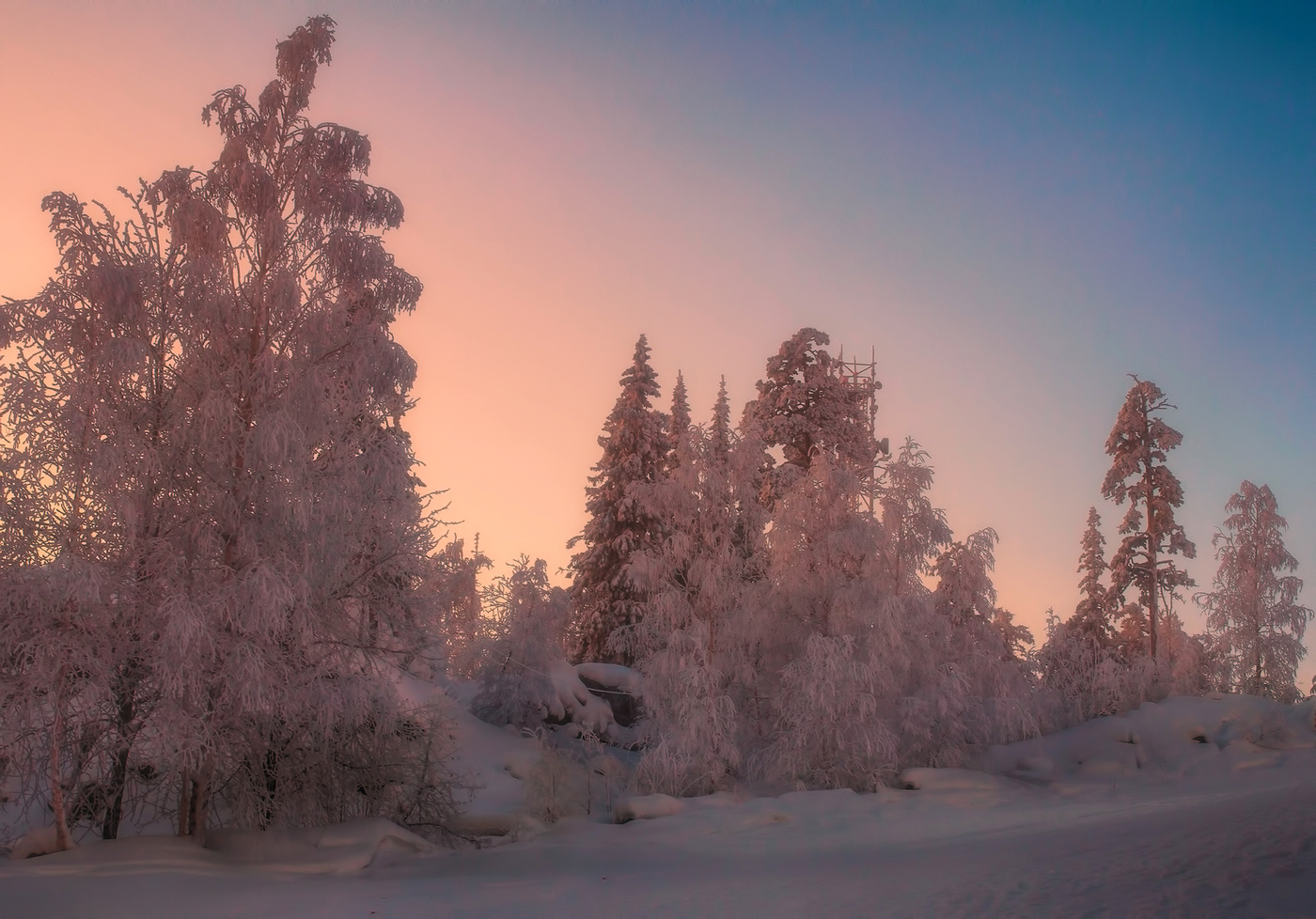 Розовый вечер