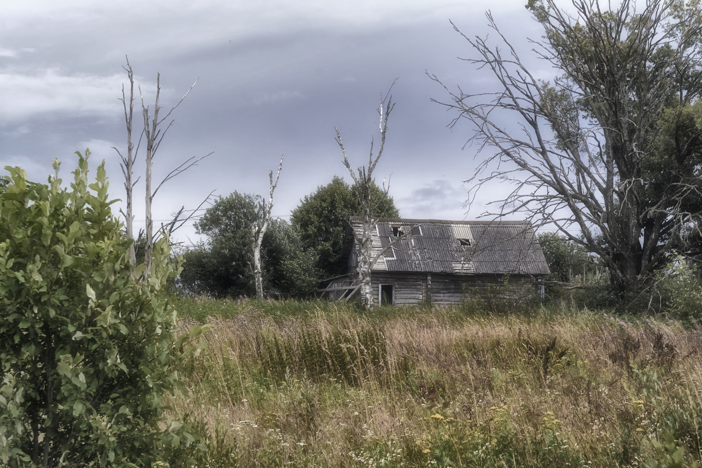 послесловие...