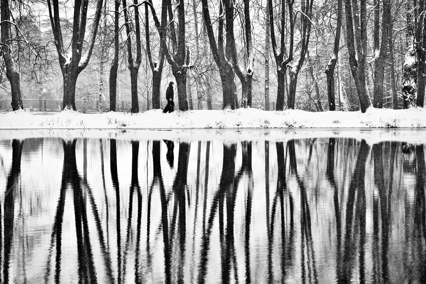 Ноябрьским днем ...