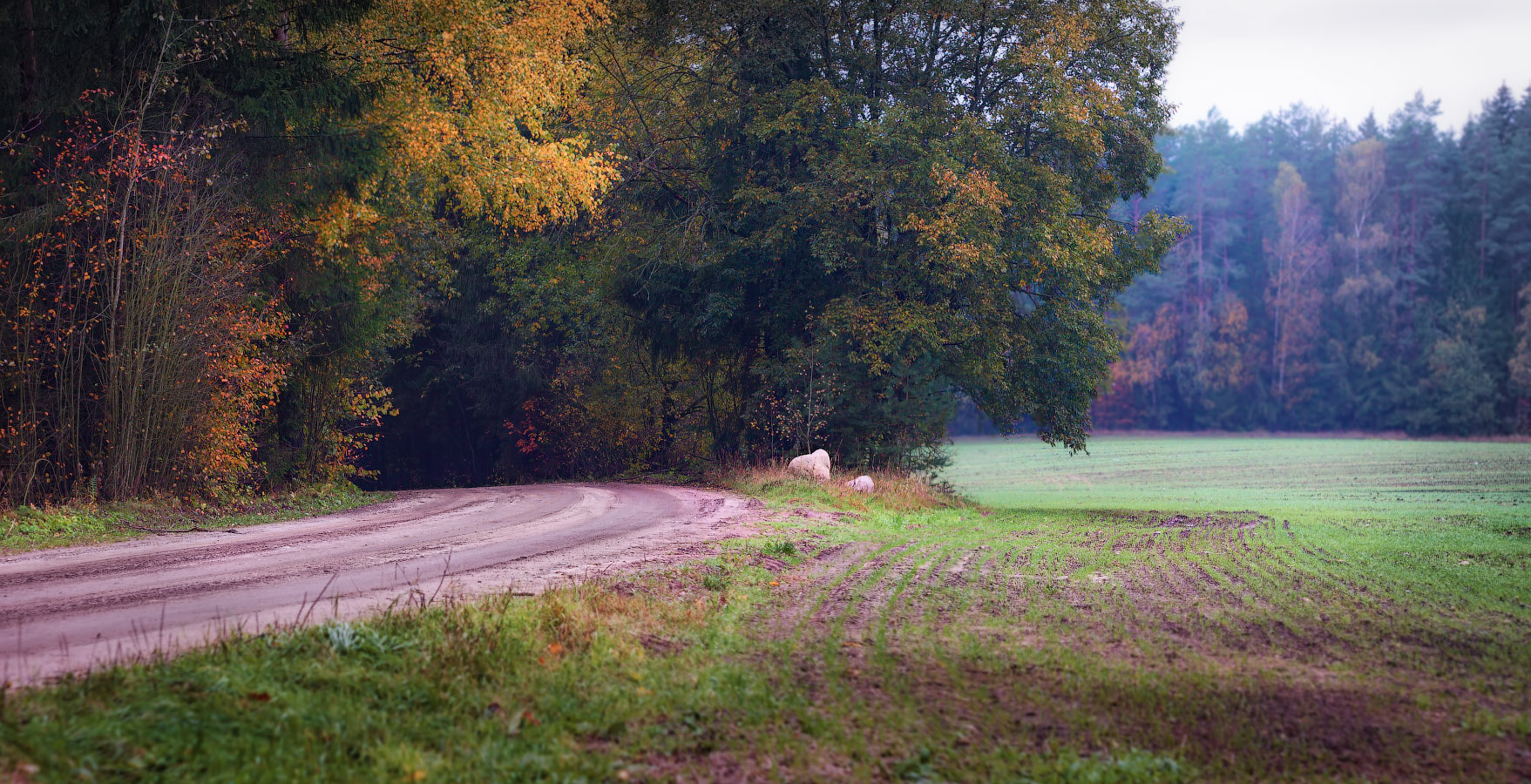 Панорама ненастного дня