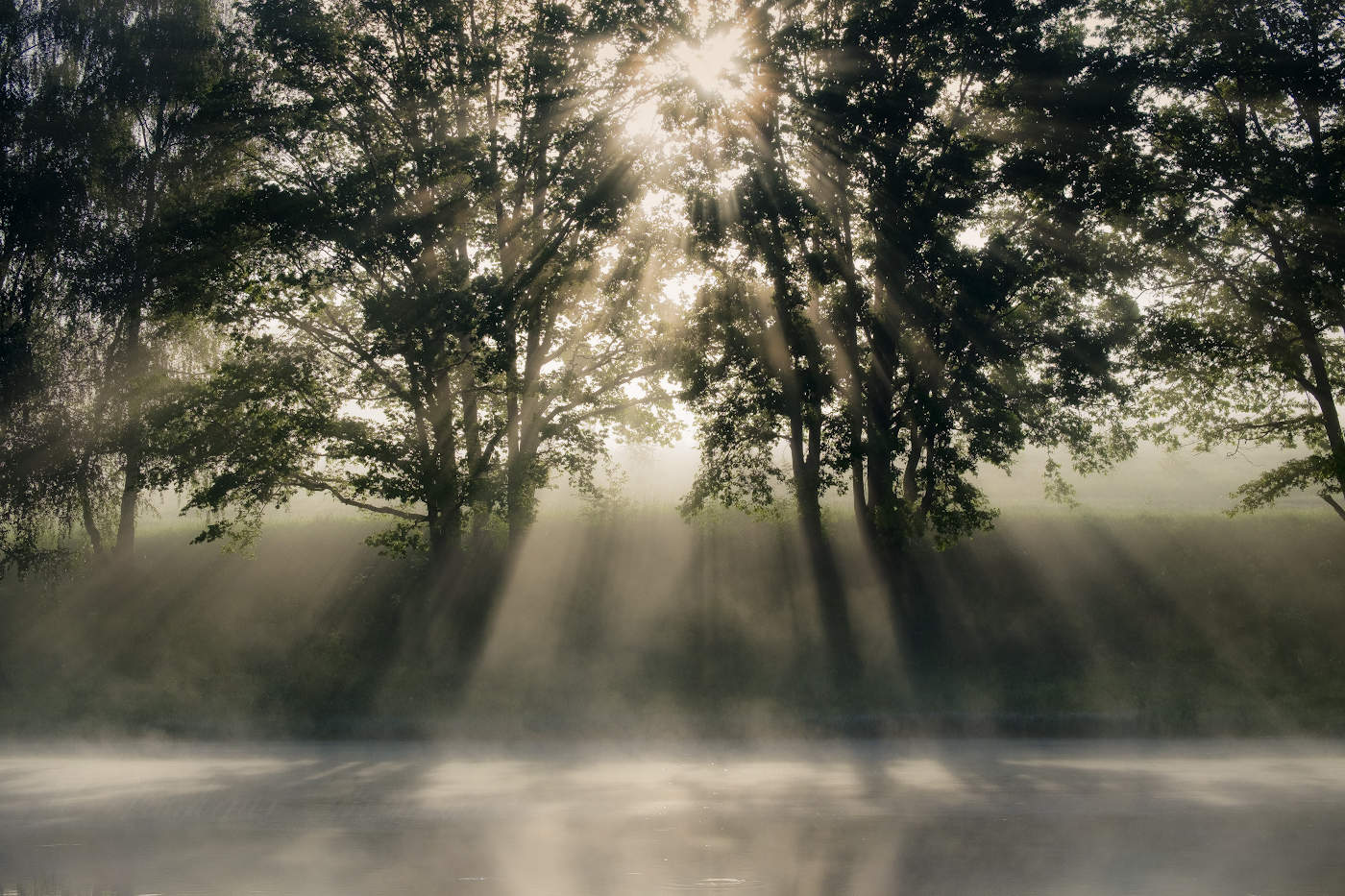 Рассветные лучи