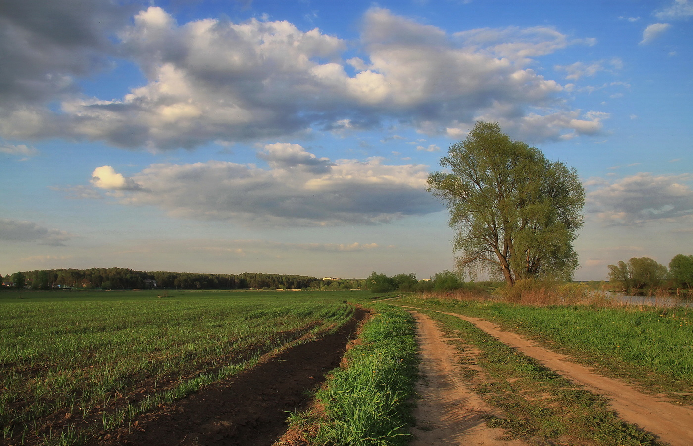пригородный пейзаж