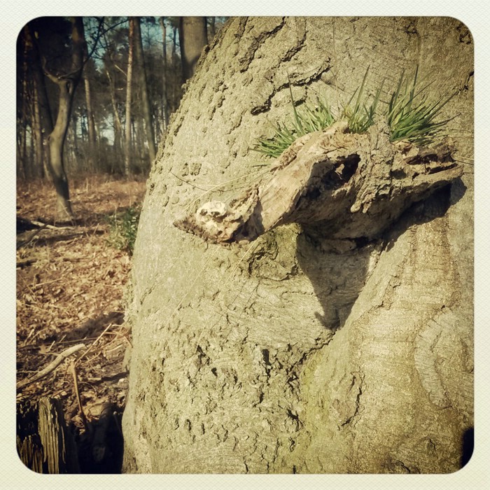 портрет навуходоносора