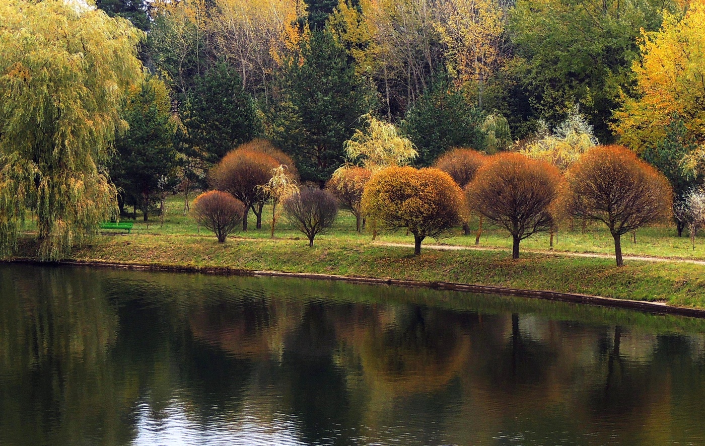 На речном берегу