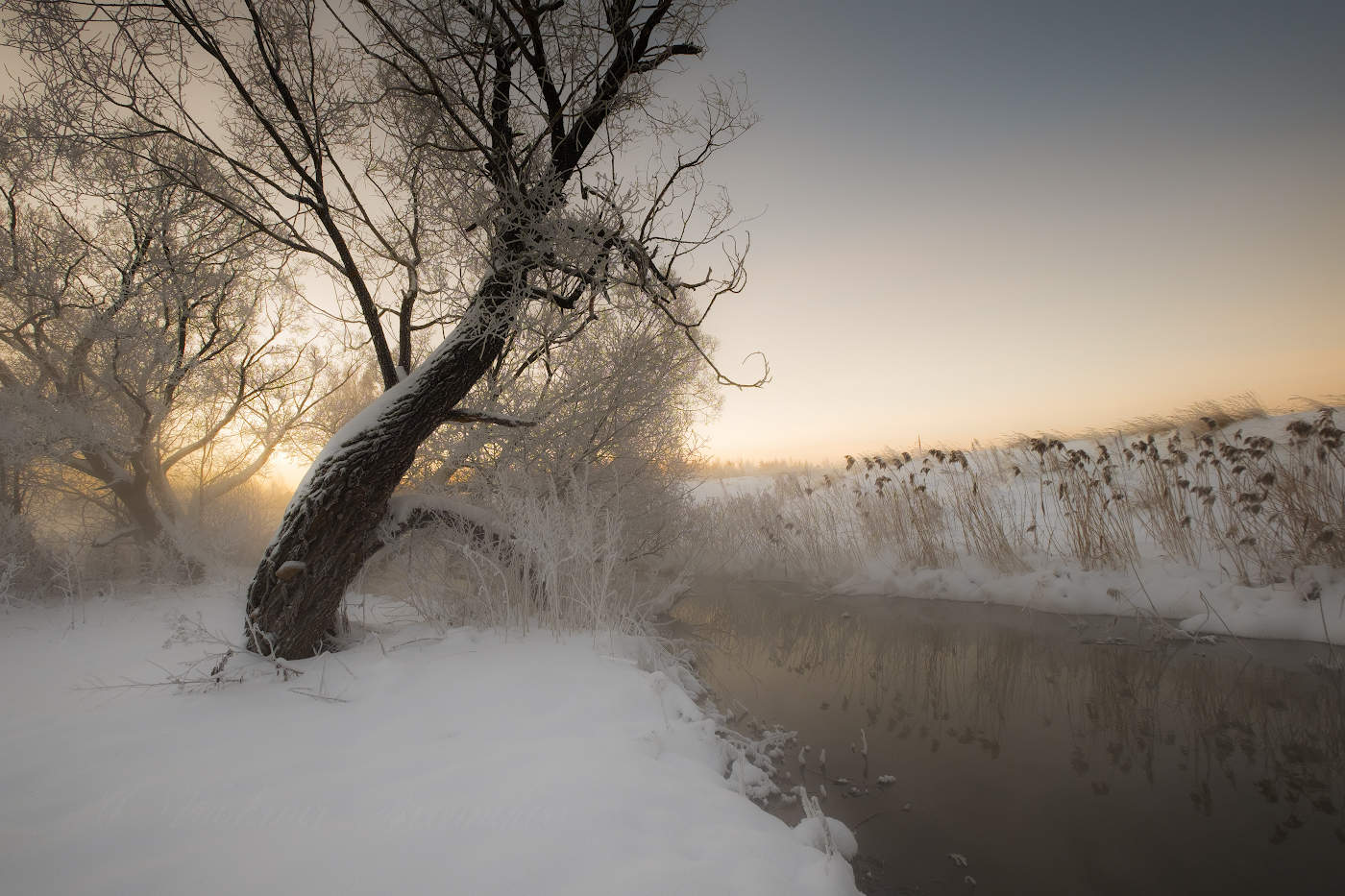 Морозная поступь утра