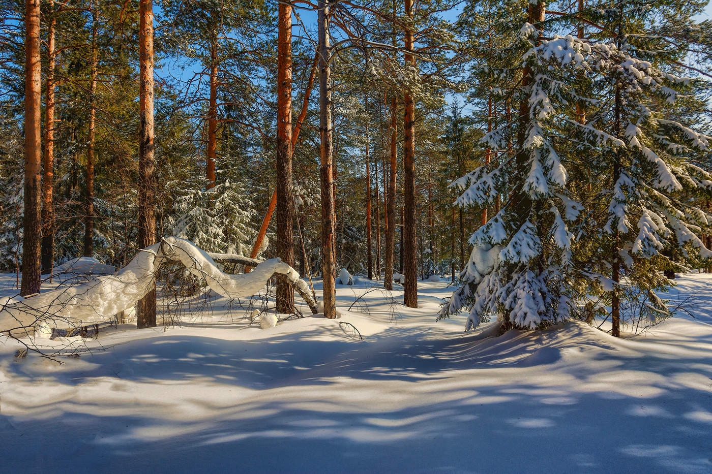 Погожий денек