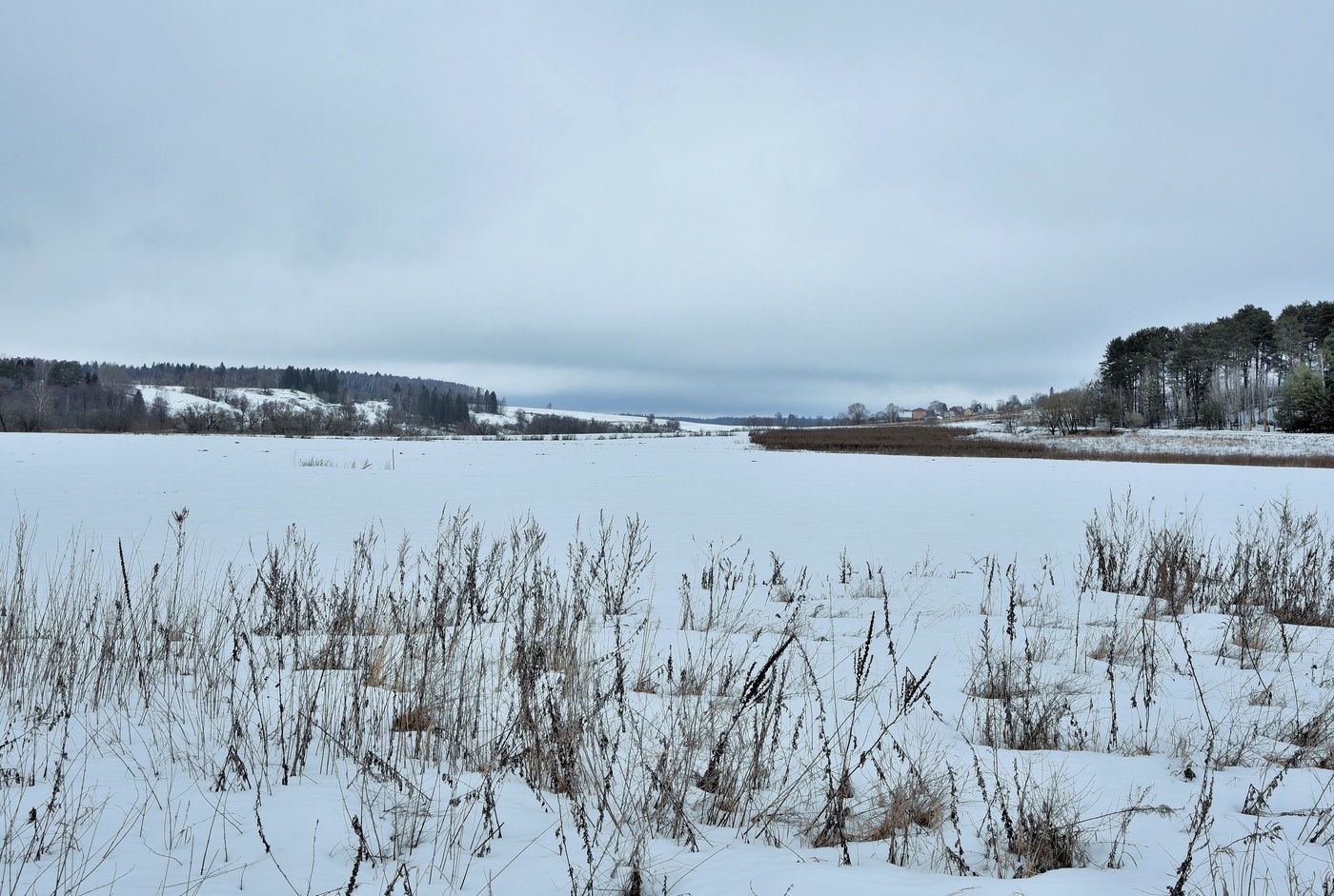 "Зима. Что делать нам в деревне?"