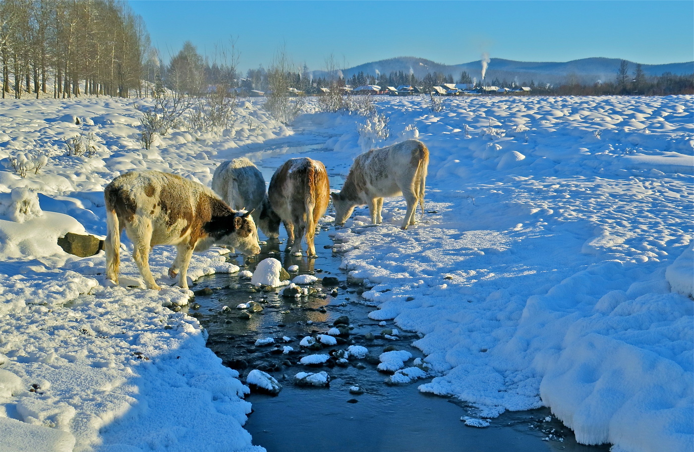 ОБЫДЁННОСТЬ