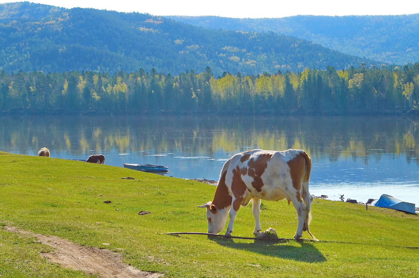 Хороший год