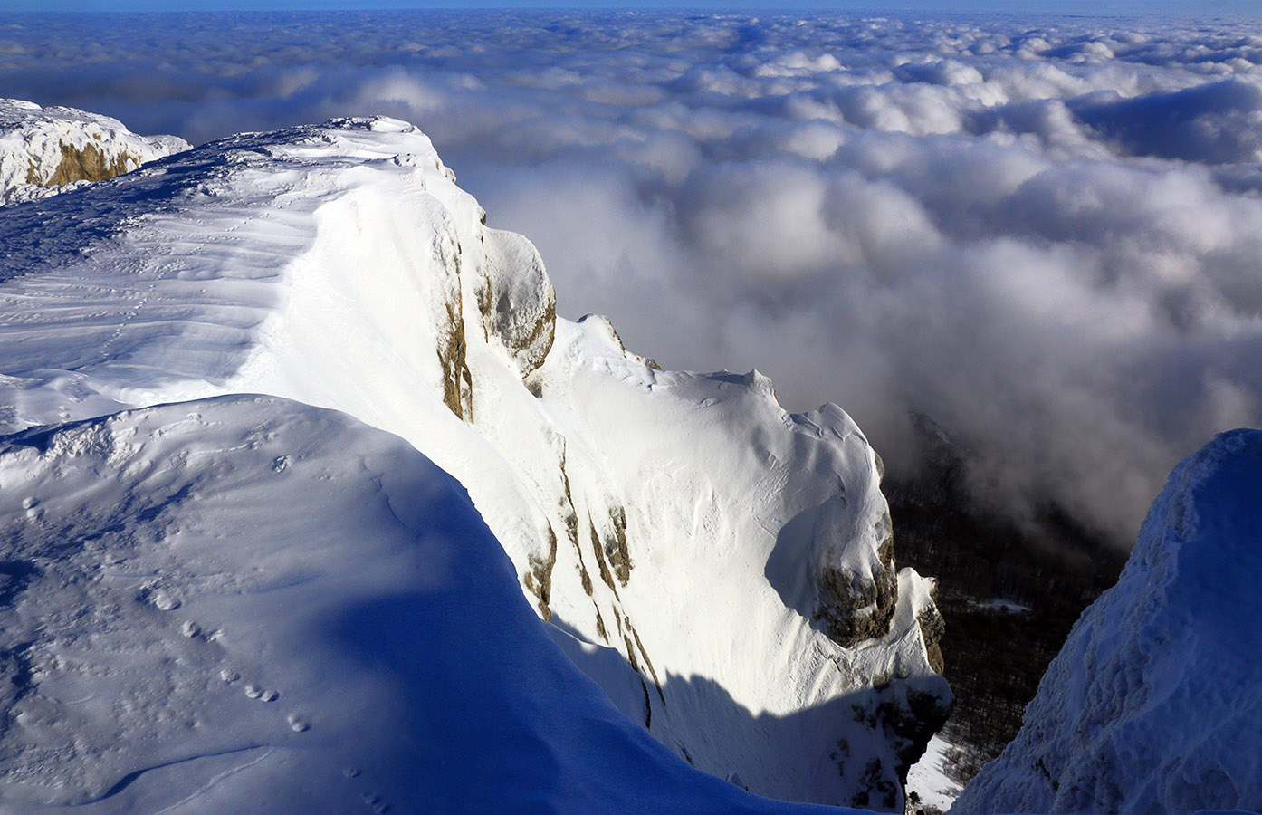Хороший год