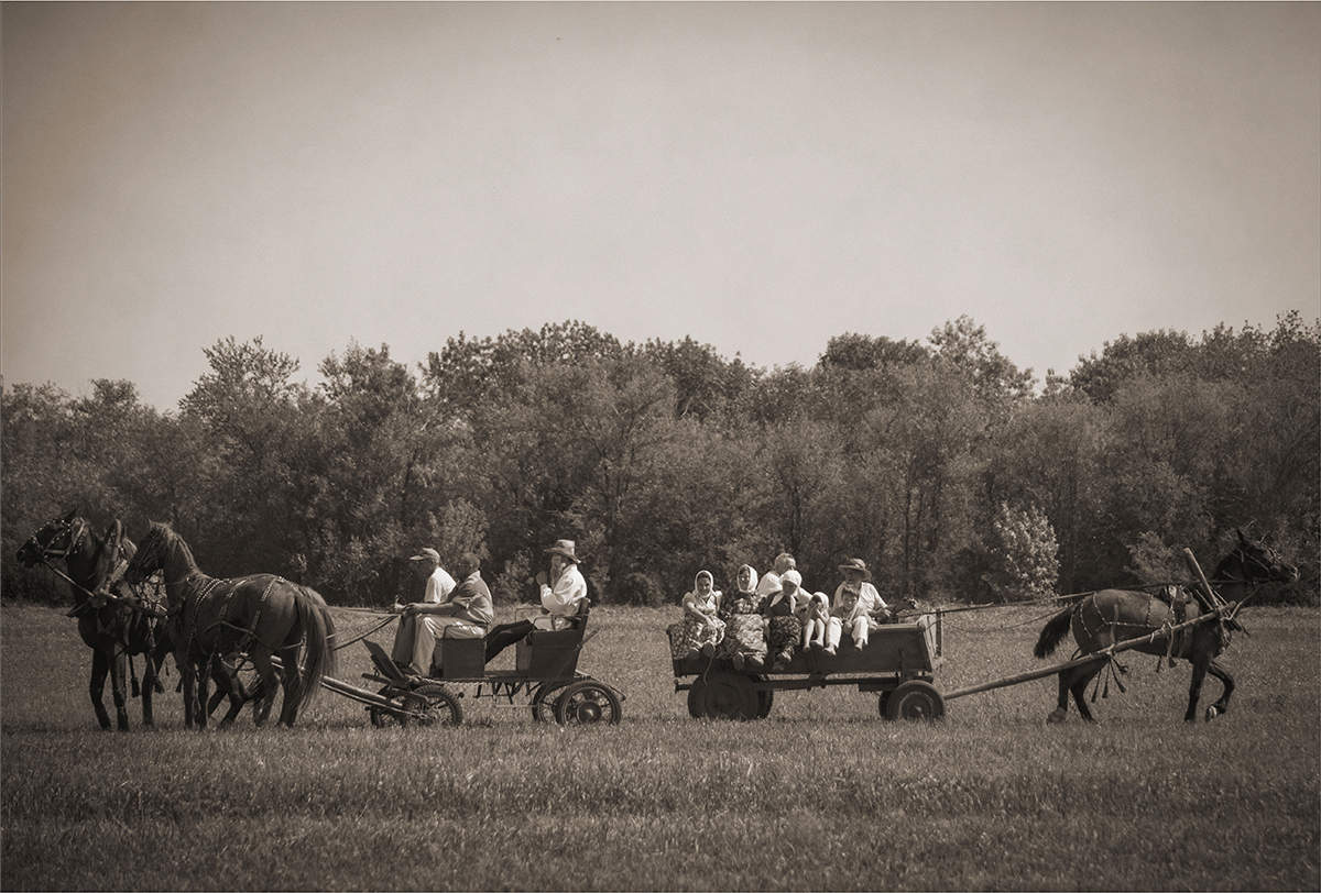 Хороший год