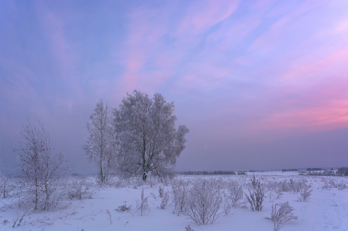 Хороший год