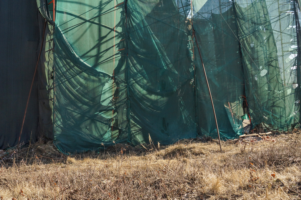 Хороший год