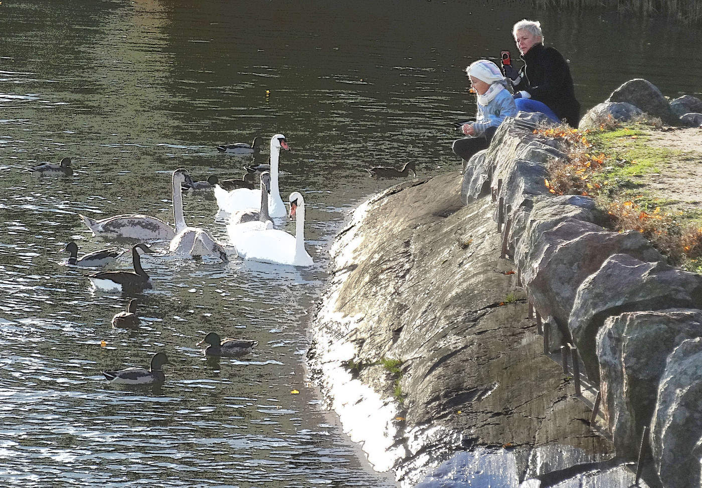 Хороший год