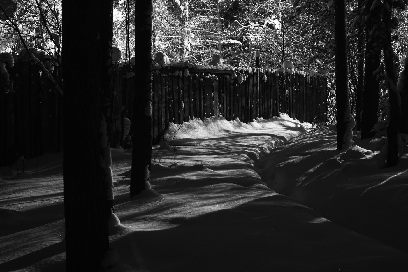 Вдоль забора...