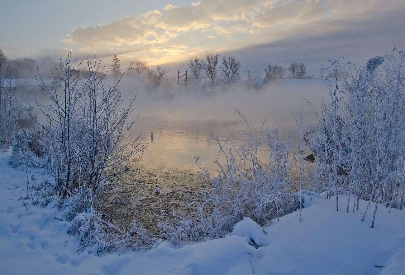 На холодных берегах