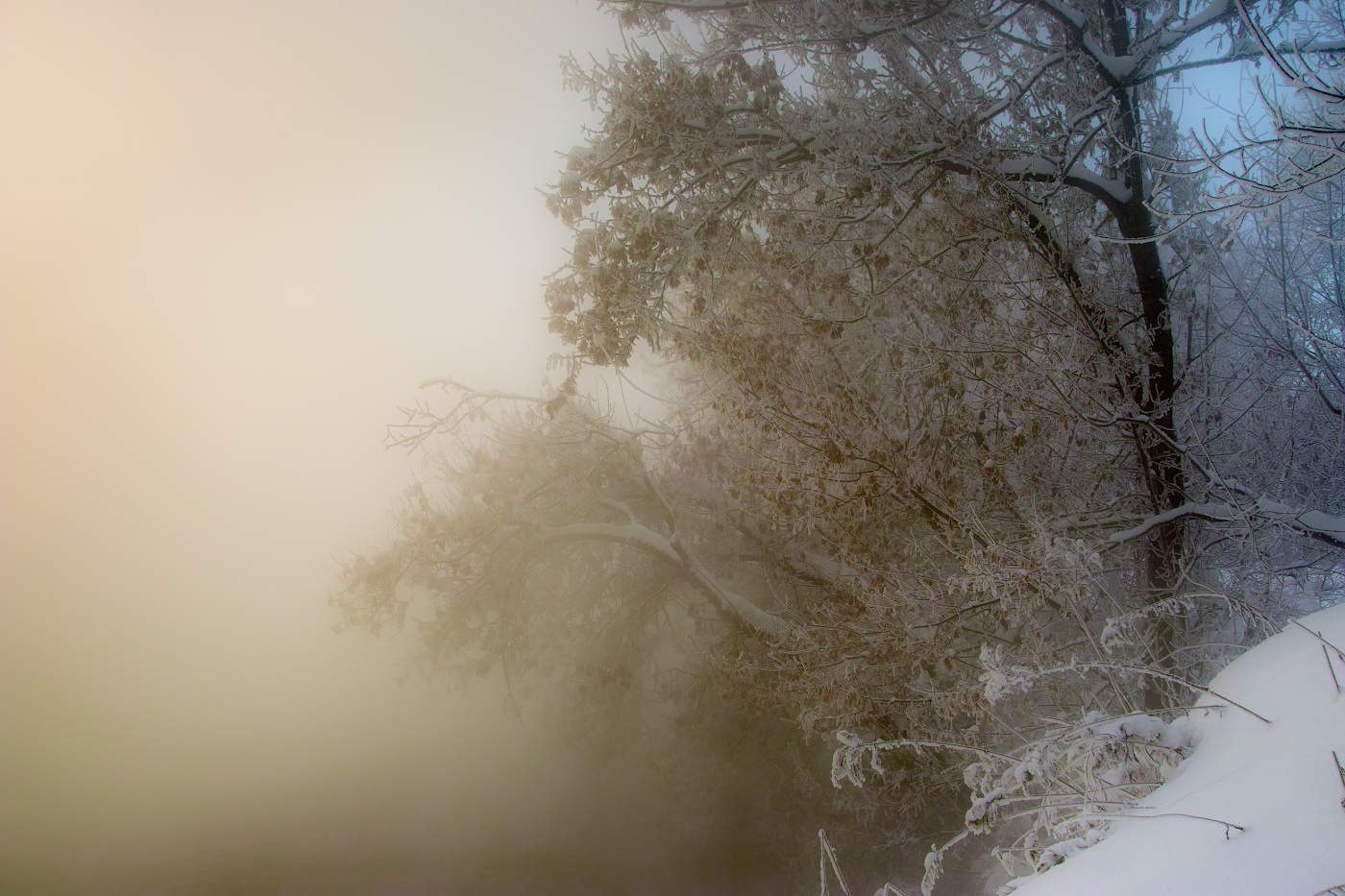 Утренняя вуаль