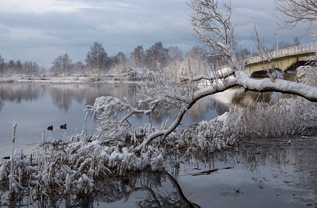 Зимний макияж