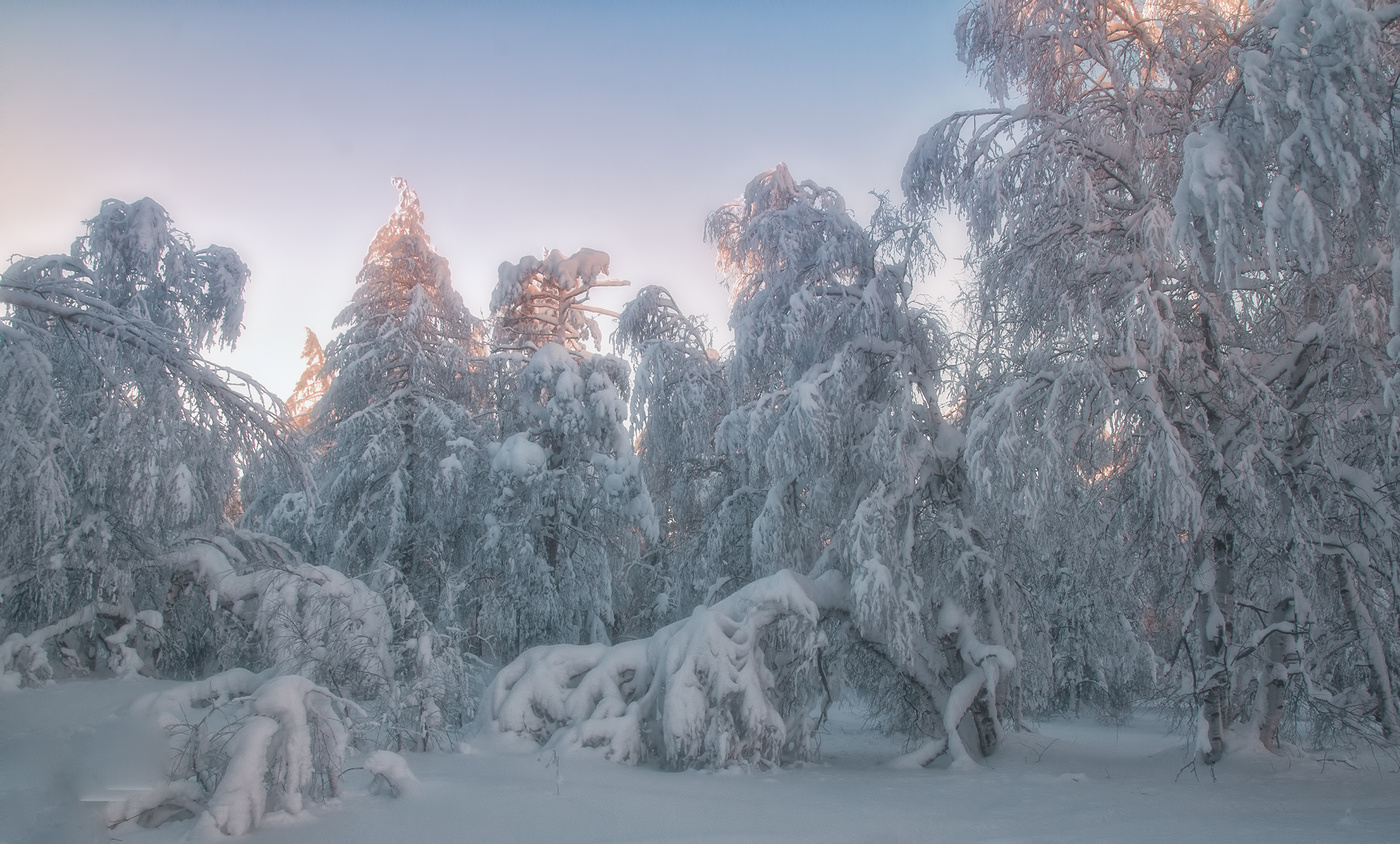 Белое безмолвие