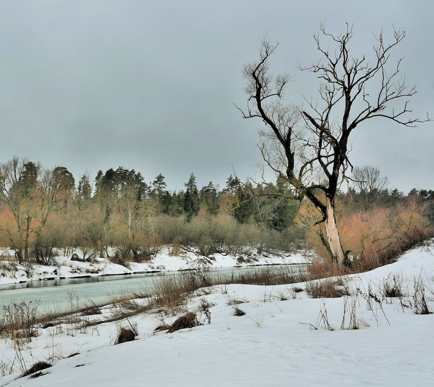 Март - первый месяц весны ...