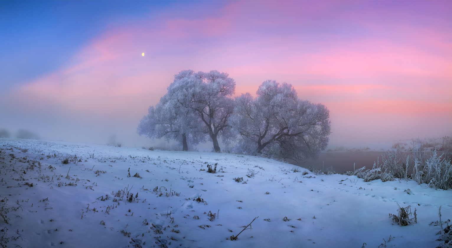 Перед рассветом