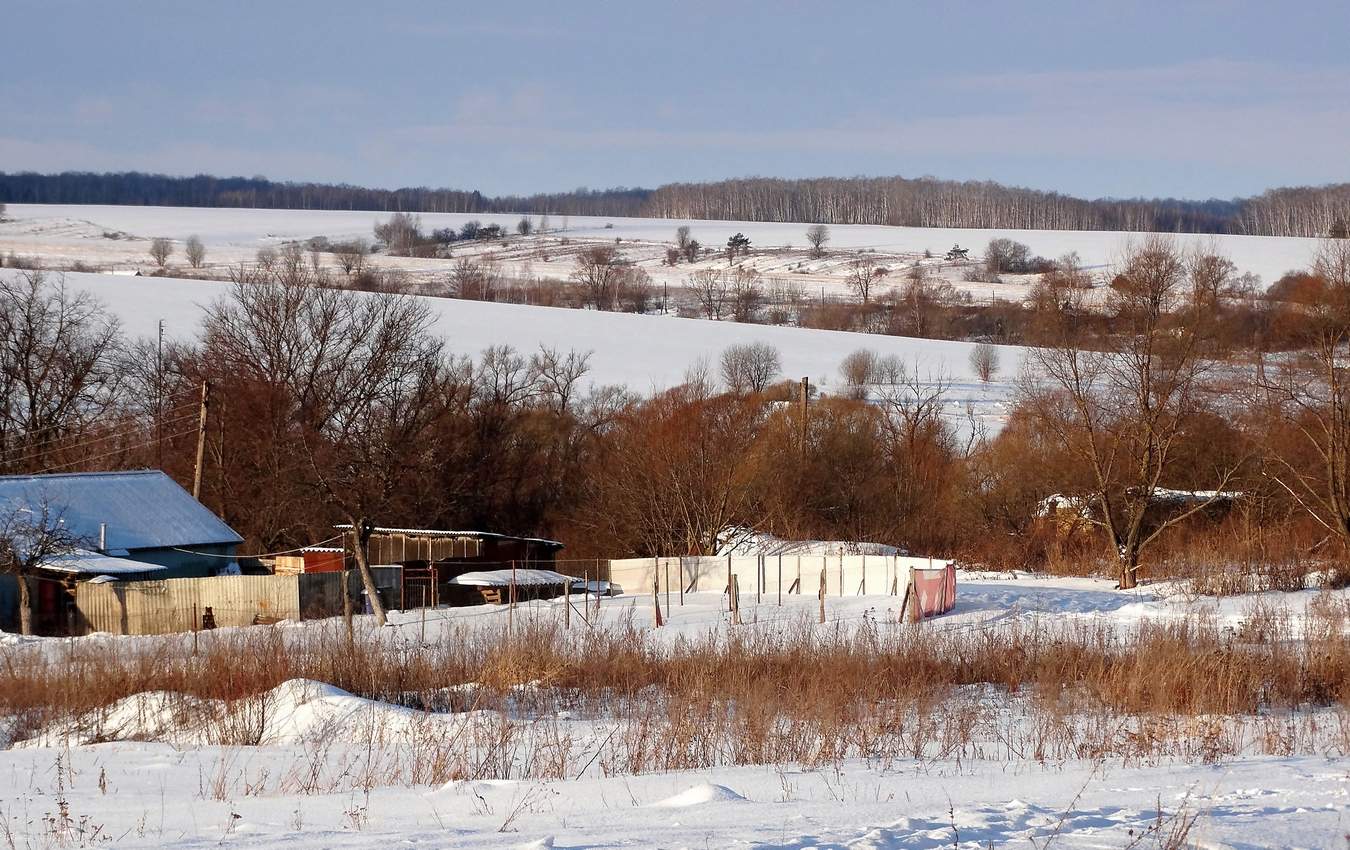 Морозный день в деревне