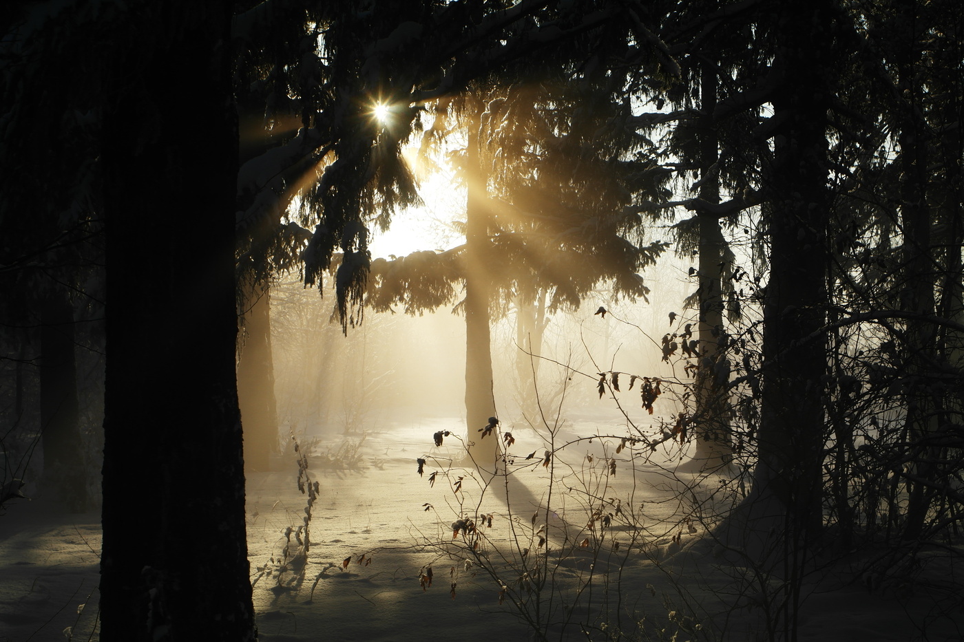 Морозный и солнечный день.