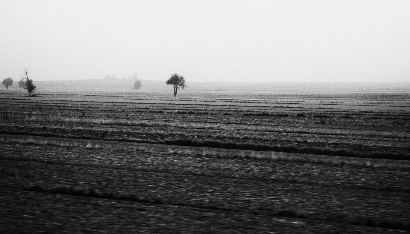 Минимализтический пейзаж ...