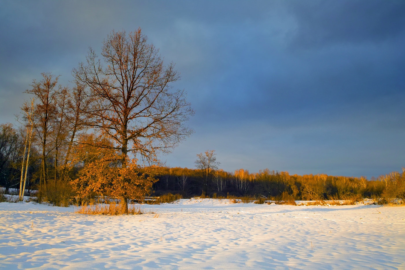 Под скользящими зимними лучами