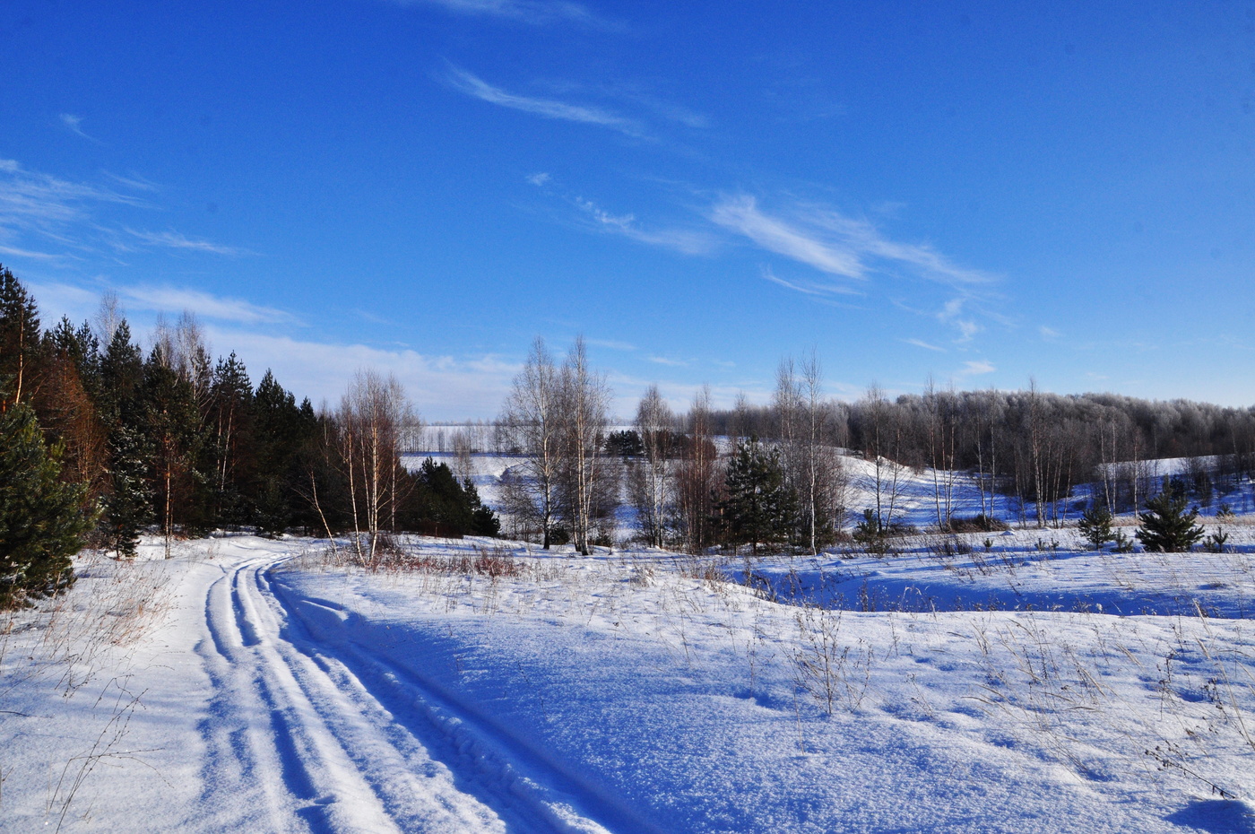 Пейзаж января.