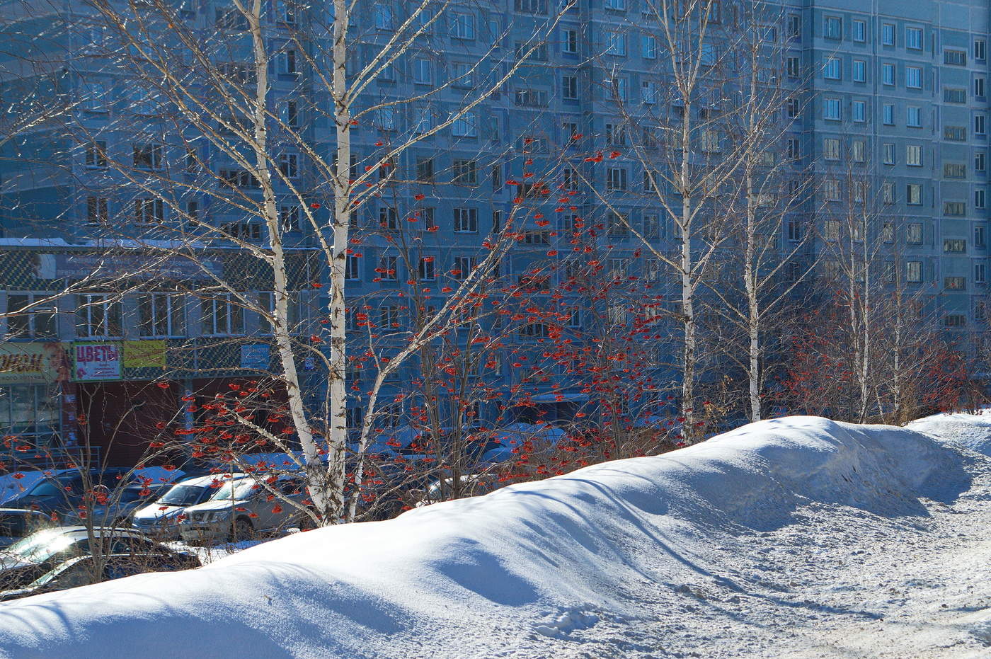 чудесный день