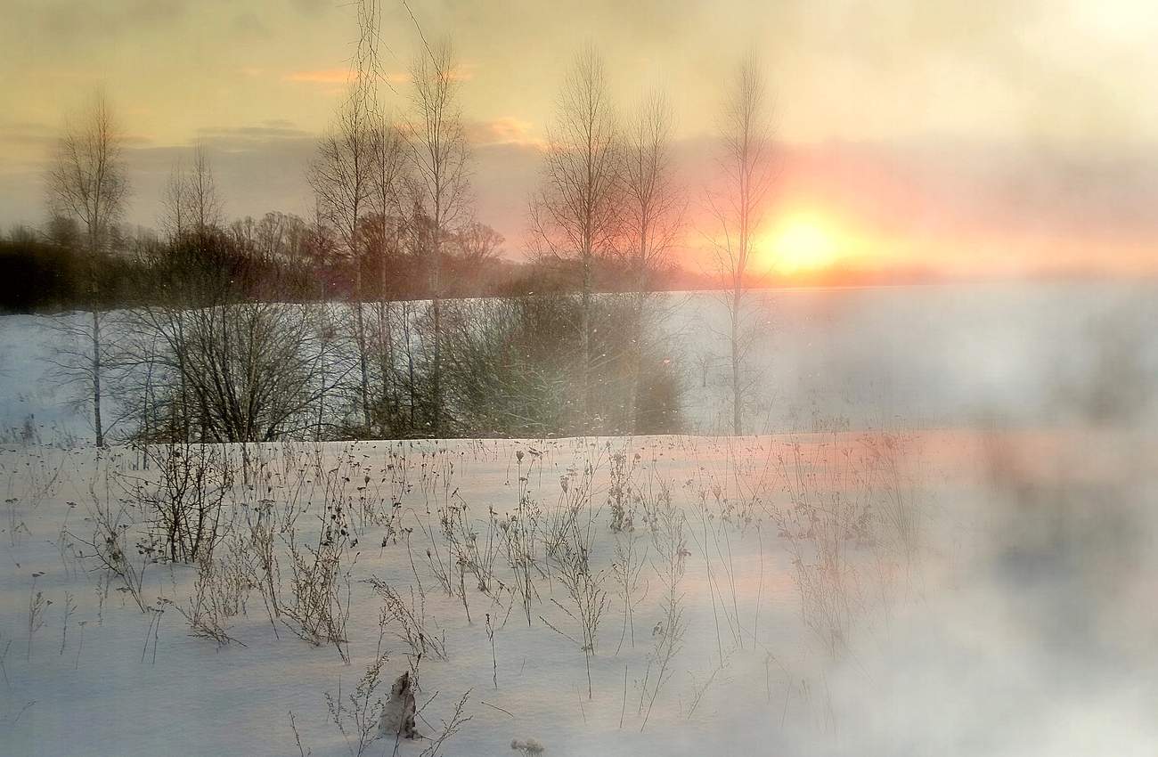 Утро зимнее