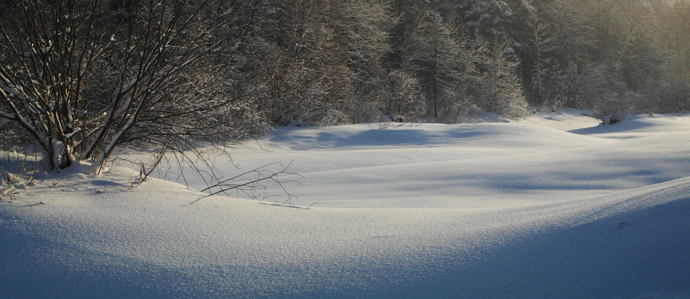 Зимний сон...