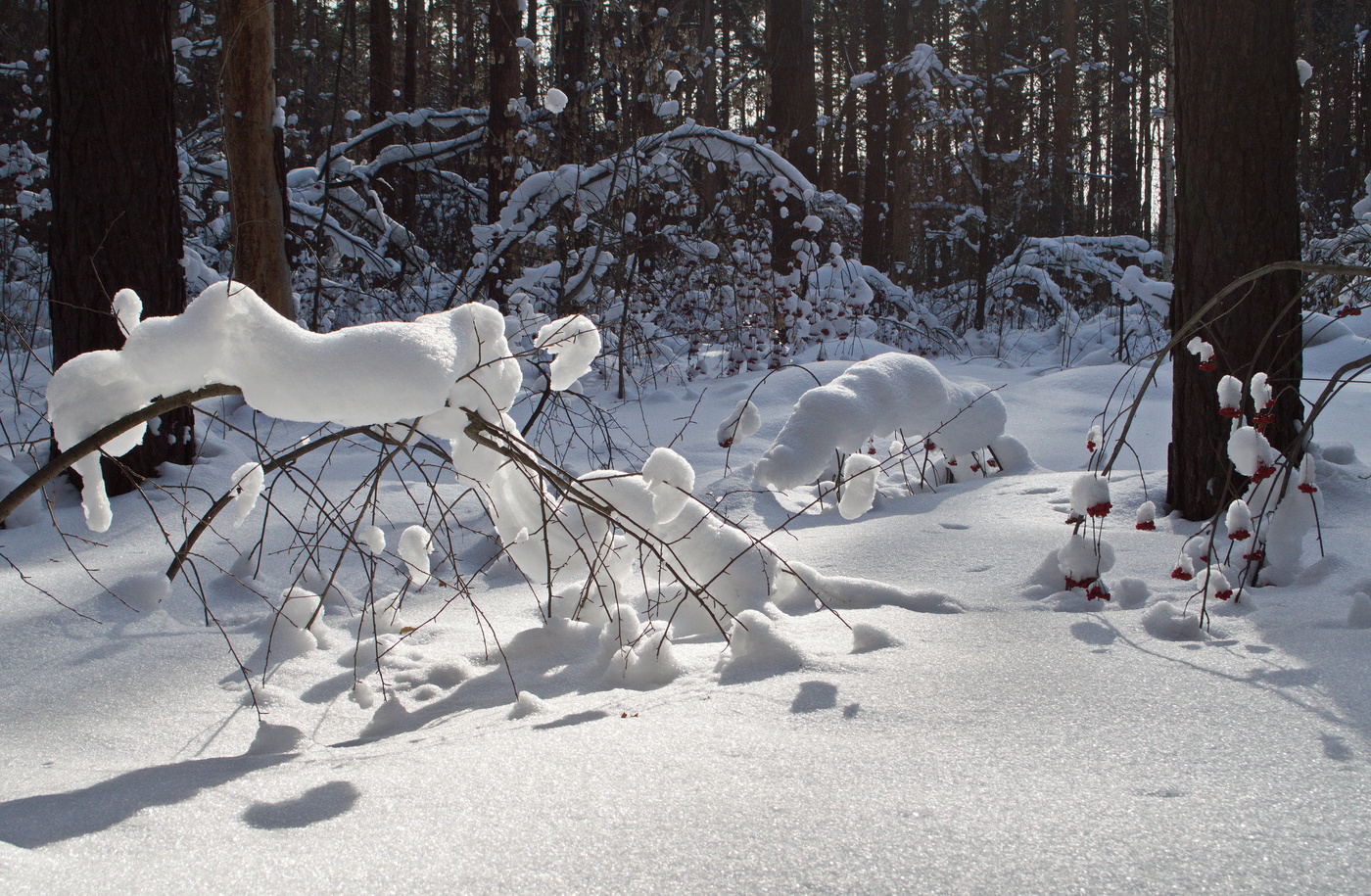причудливые формы