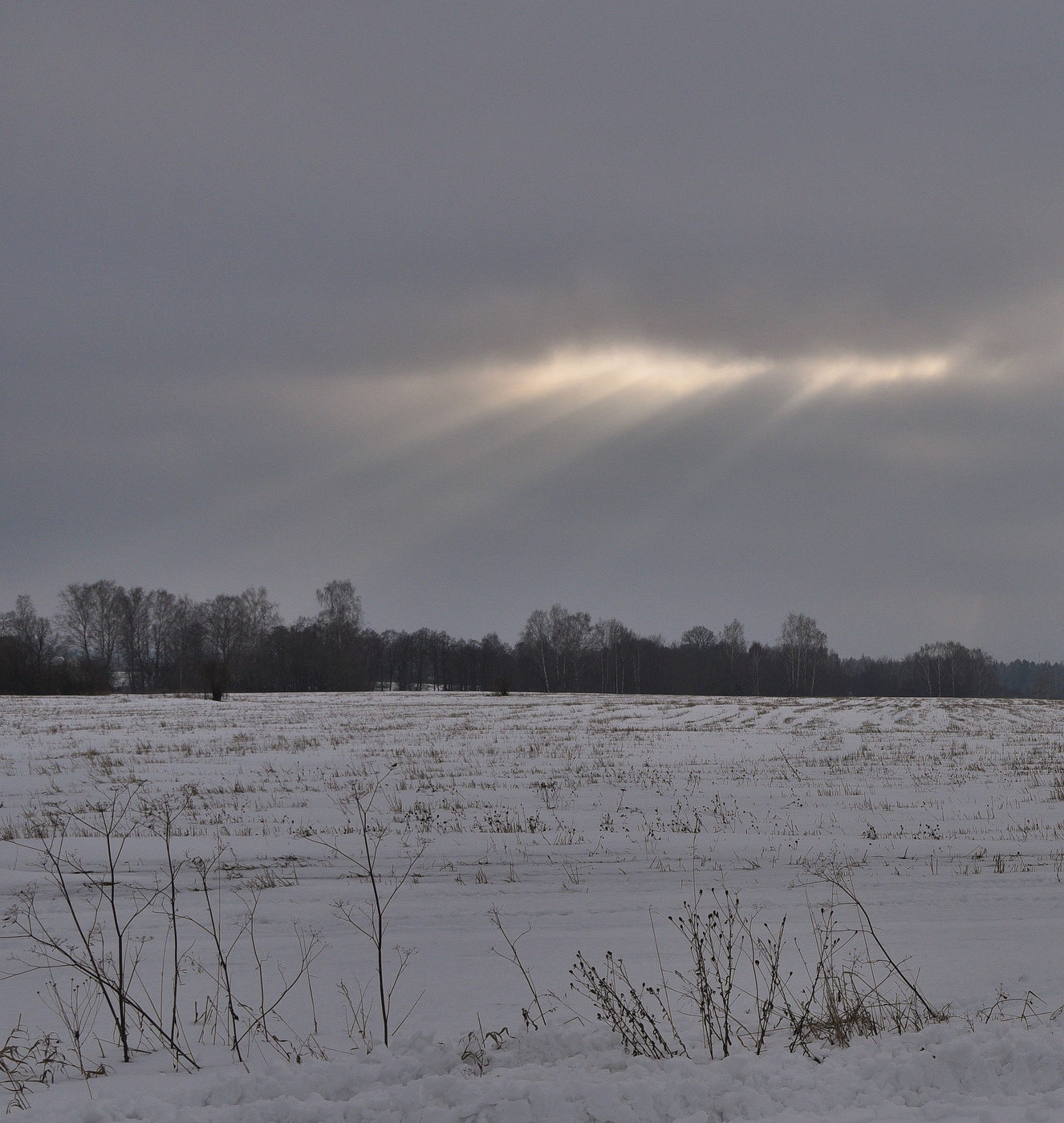 "Стоит, стыдясь, зима у входа..."