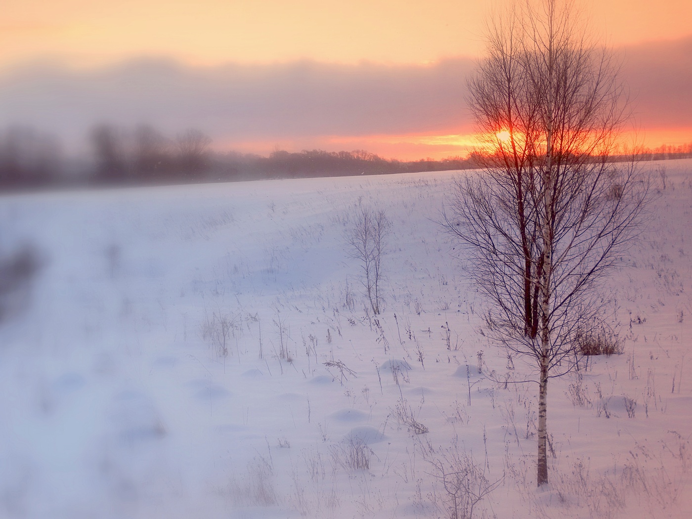 Магия зимнего утра