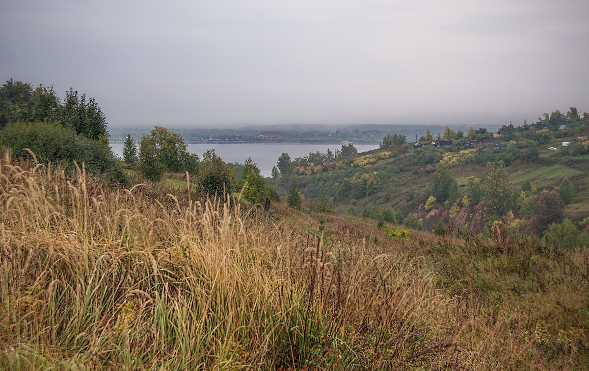 Свежесть утра у реки