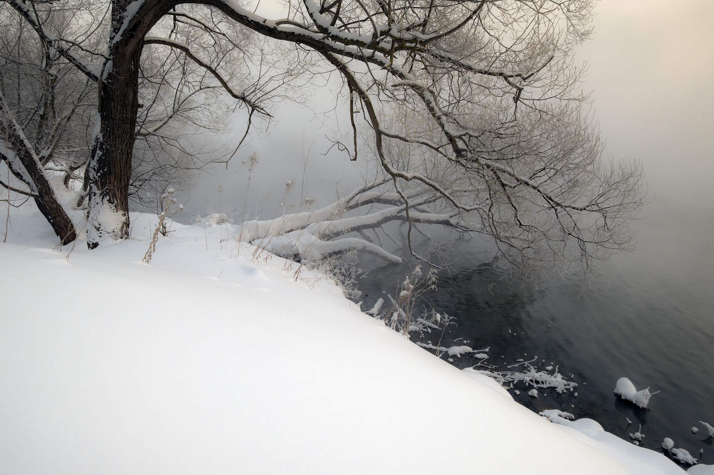 Белая пятница