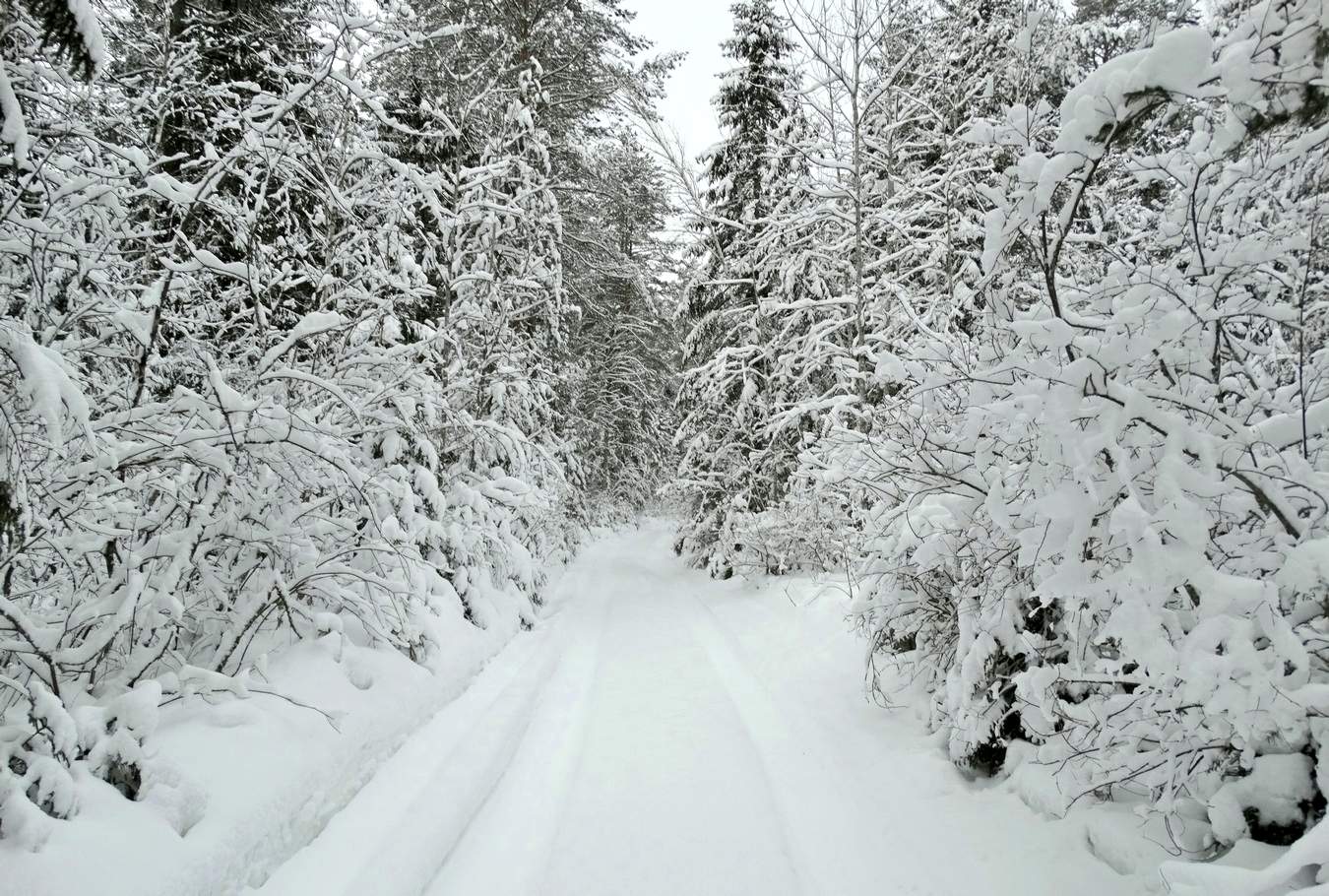 Белая пятница