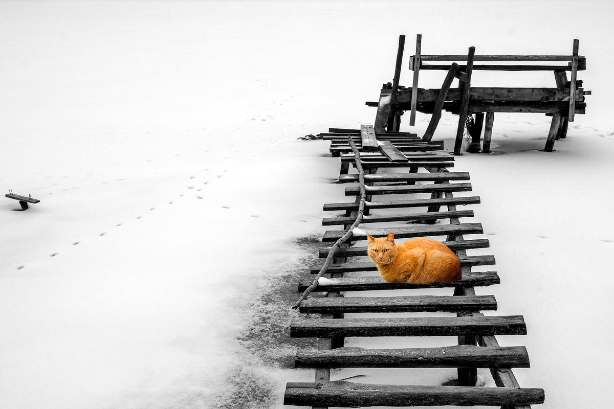 Белая пятница