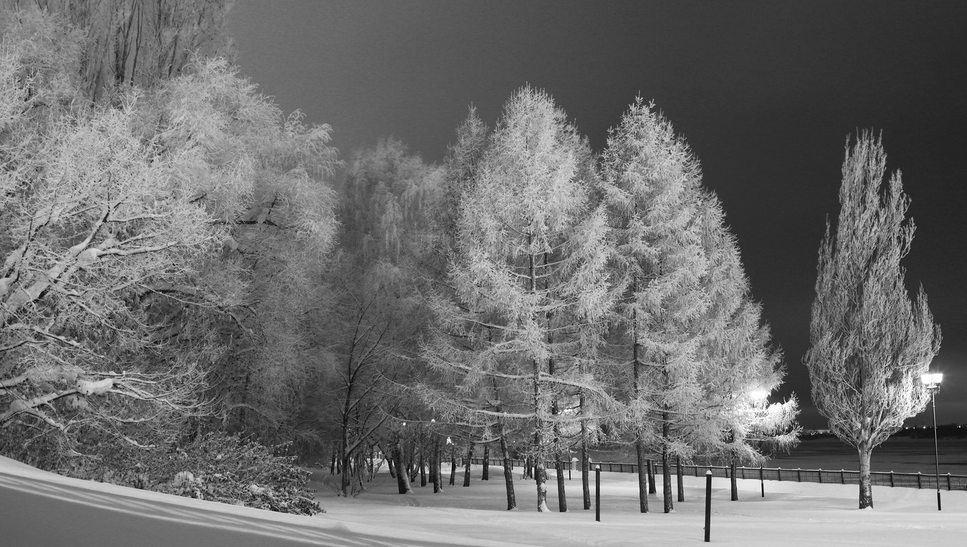 Белая пятница