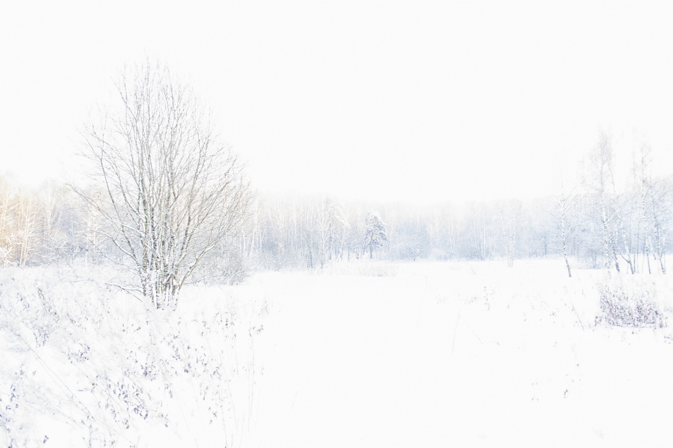 Белая пятница