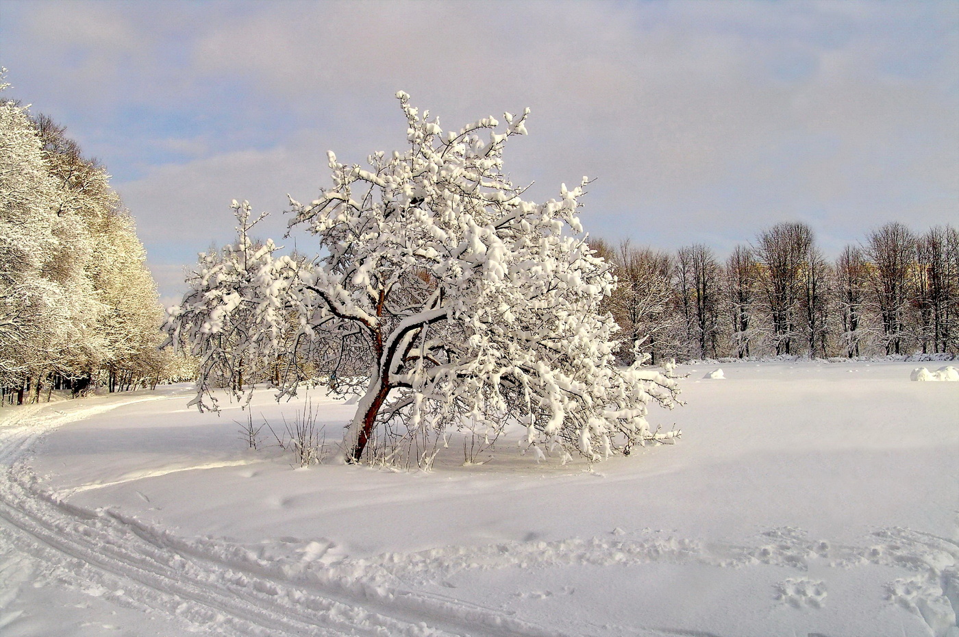 Белая пятница