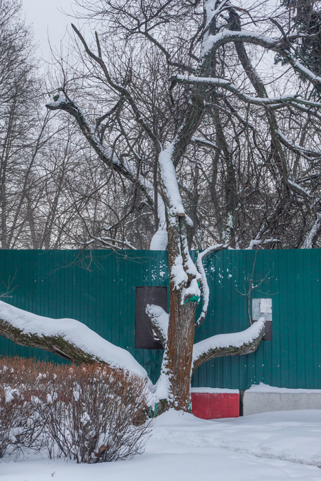 Белая пятница