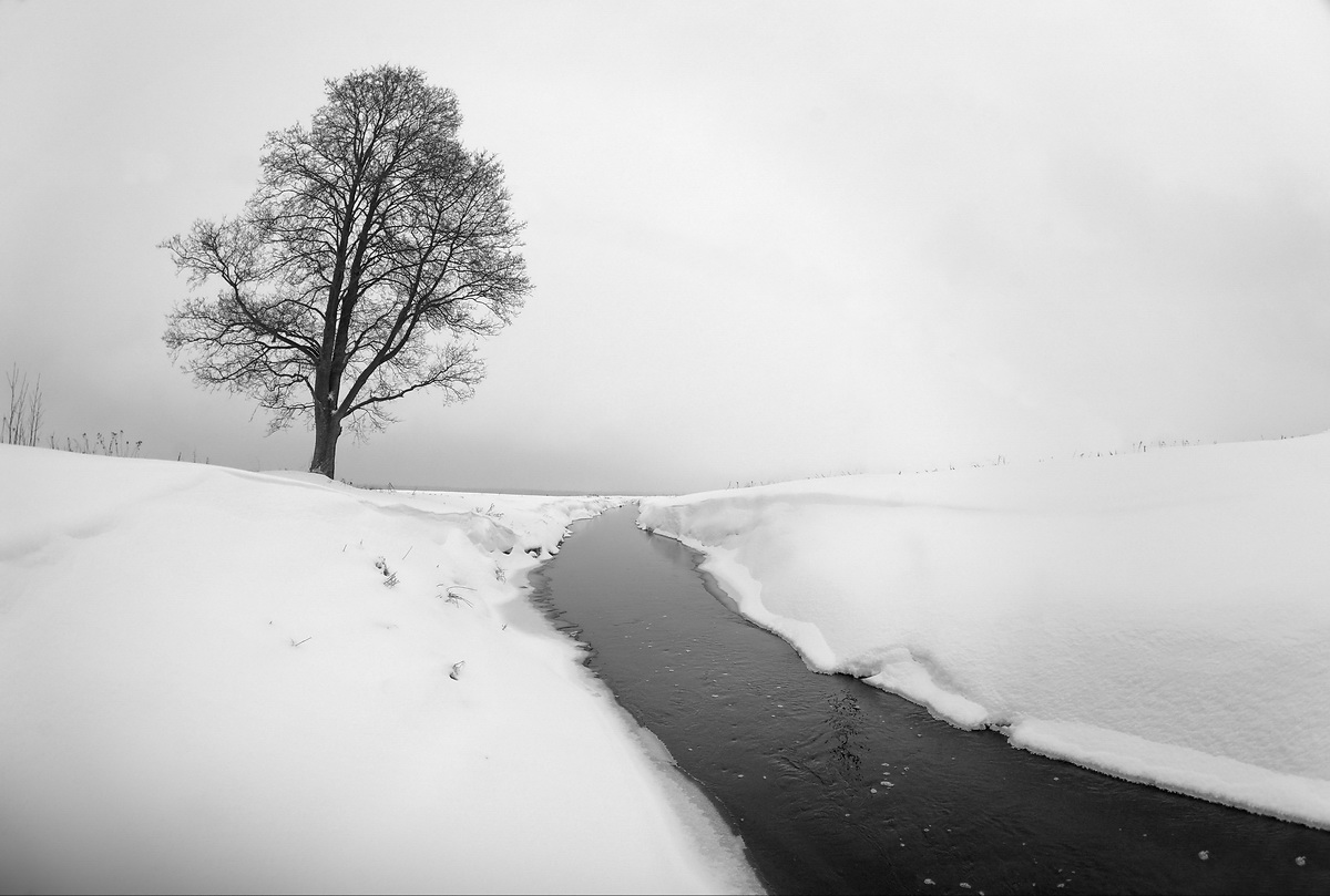 Белая пятница